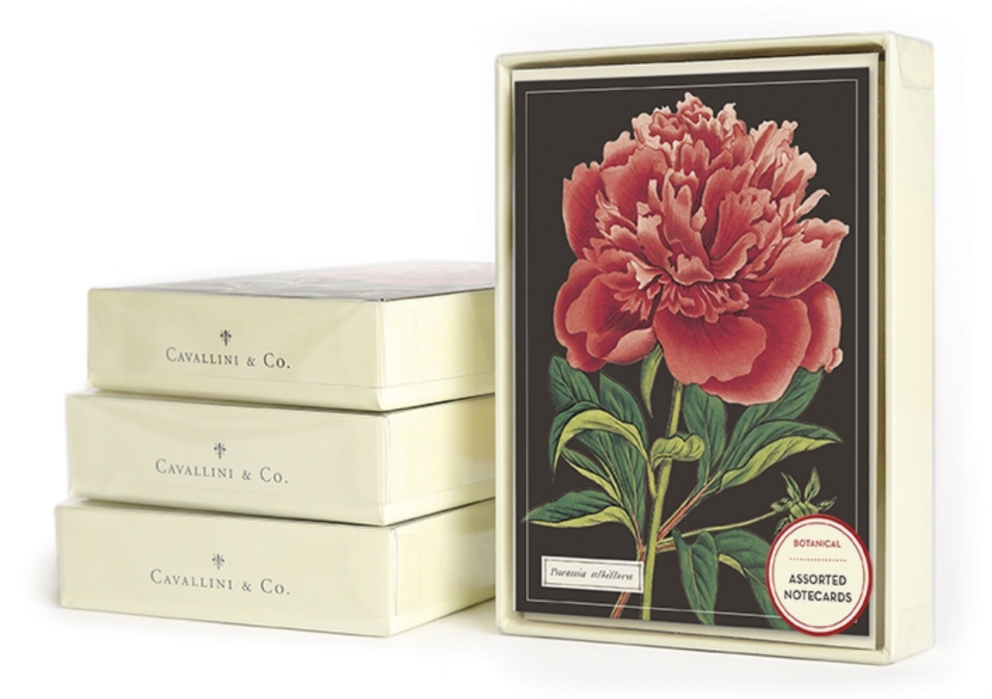 Botanical Boxed Notecards