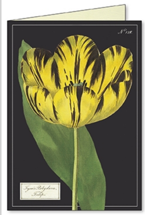 Botanical Boxed Notecards