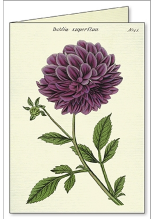 Botanical Boxed Notecards
