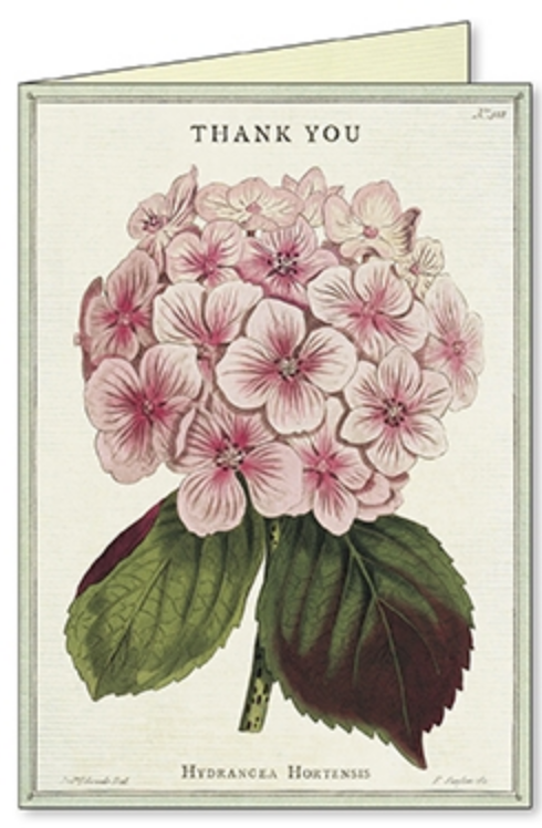 Thank You Fleur Boxed Notecards