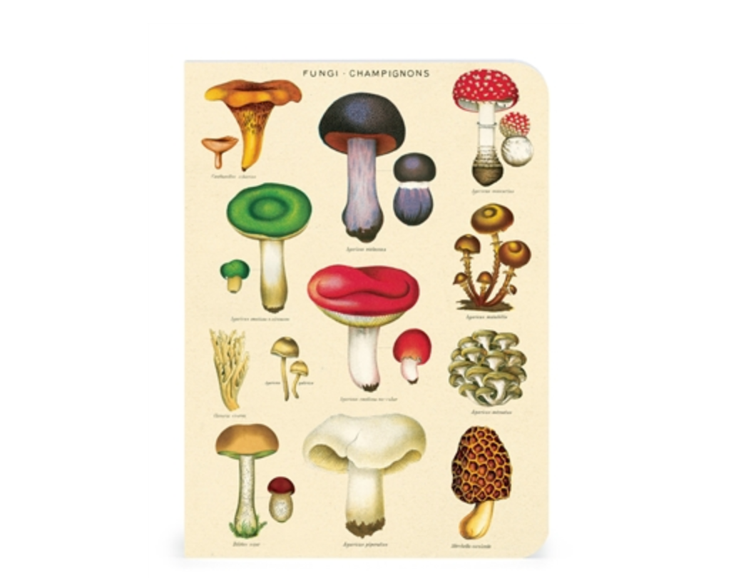 Vegetable Garden Mini Notebooks
