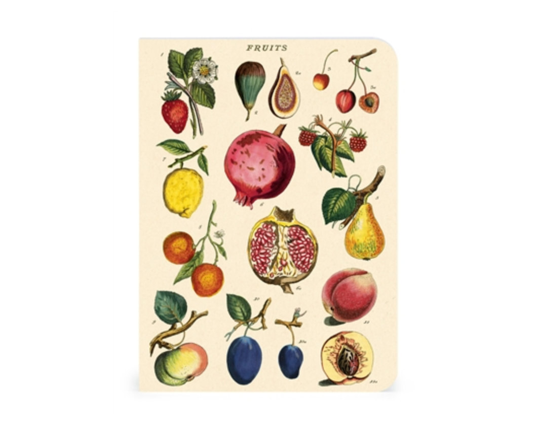 Vegetable Garden Mini Notebooks