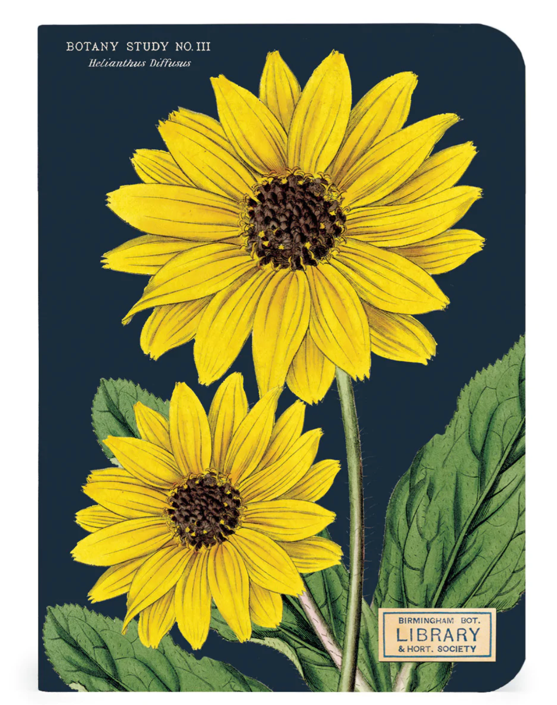 Botany Mini Notebooks