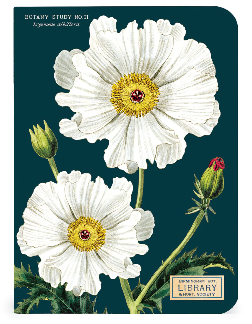 Botany Mini Notebooks