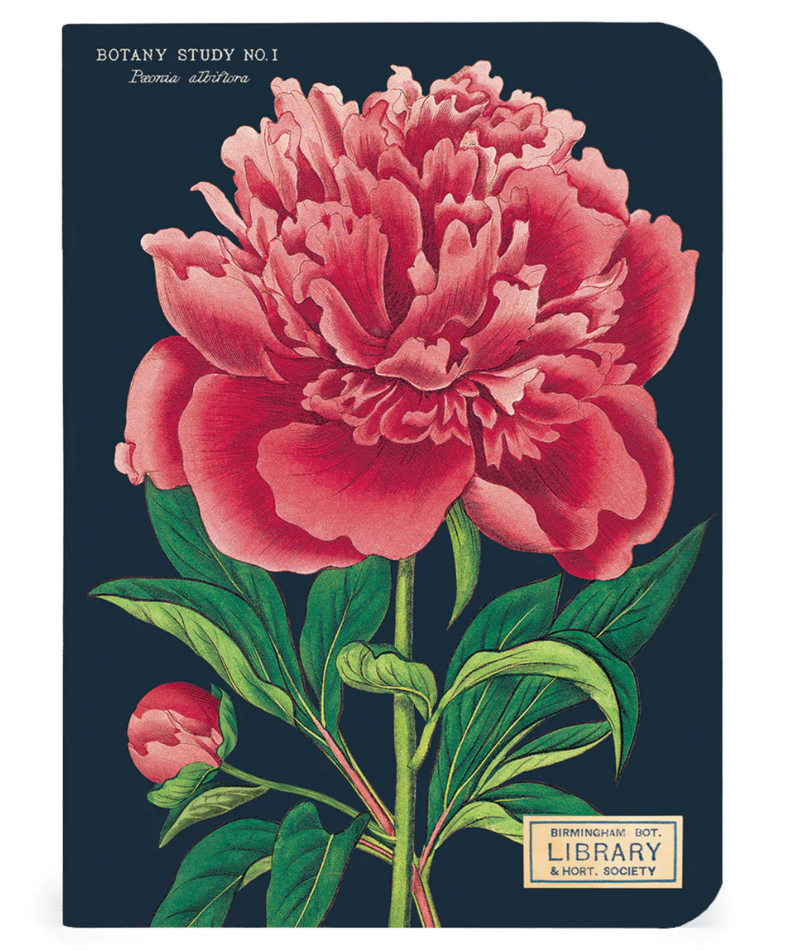 Botany Mini Notebooks