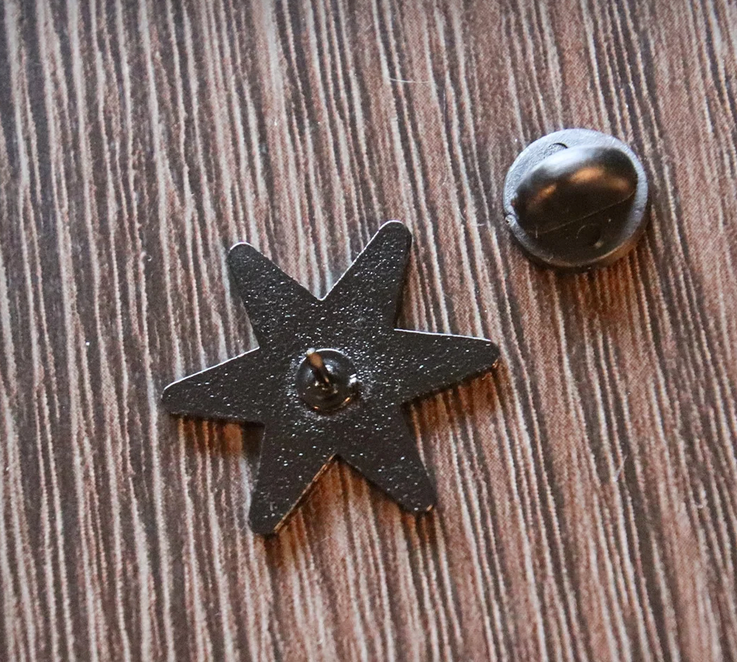 Chicago Star Pin