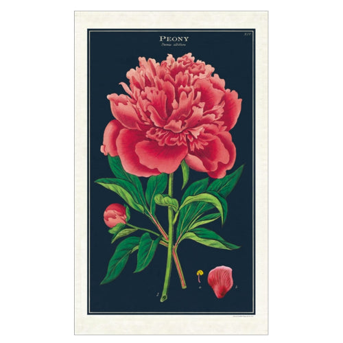 Peony Tea Towel