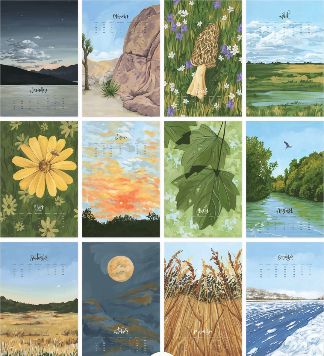PRE-ORDER: 2026 XL Wall Calendar Refill: Natural World (Limited Quantity)