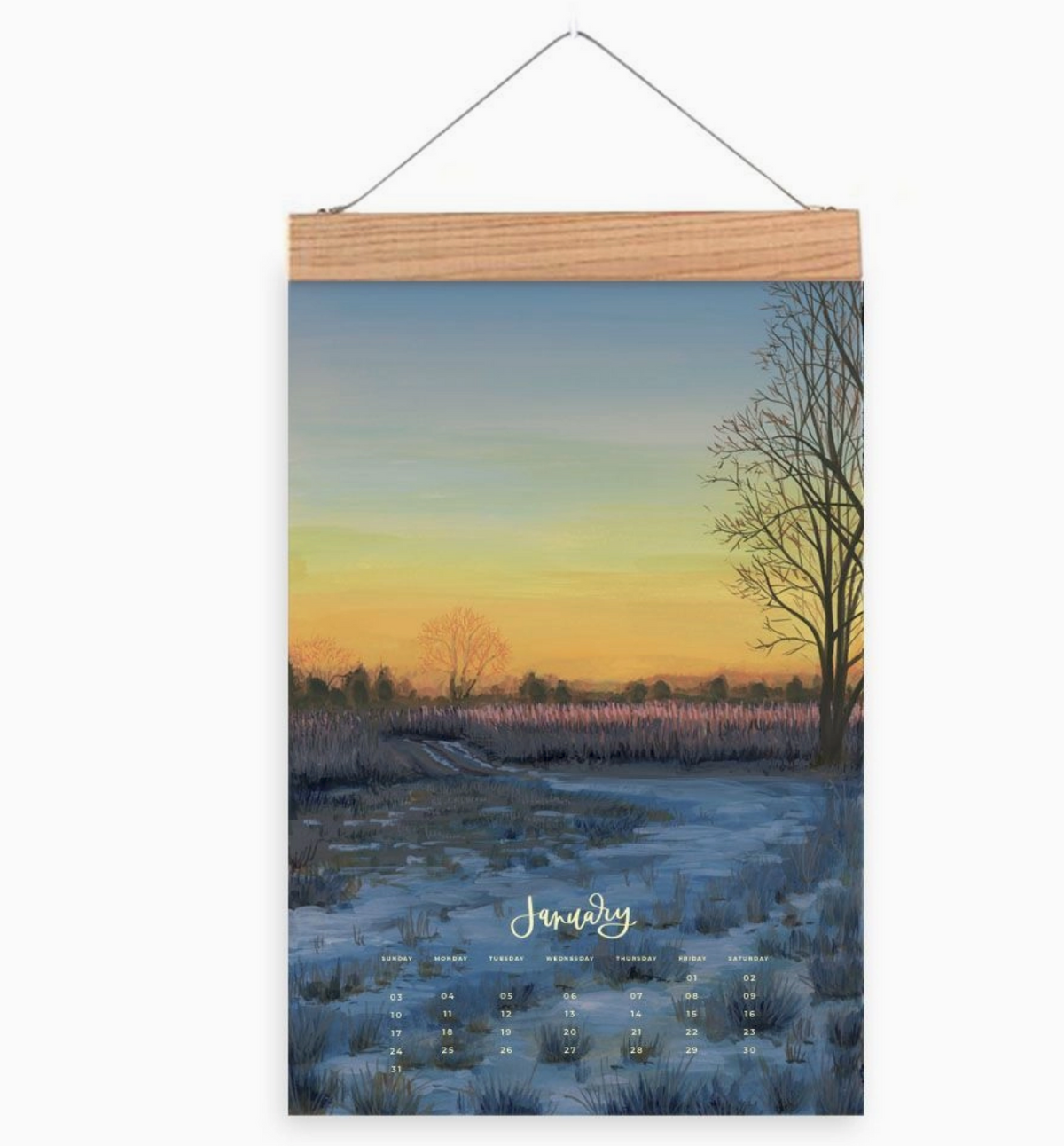 PRE-ORDER: 2027 XL Wall Calendar Refill: Natural World *Limited Quantity*