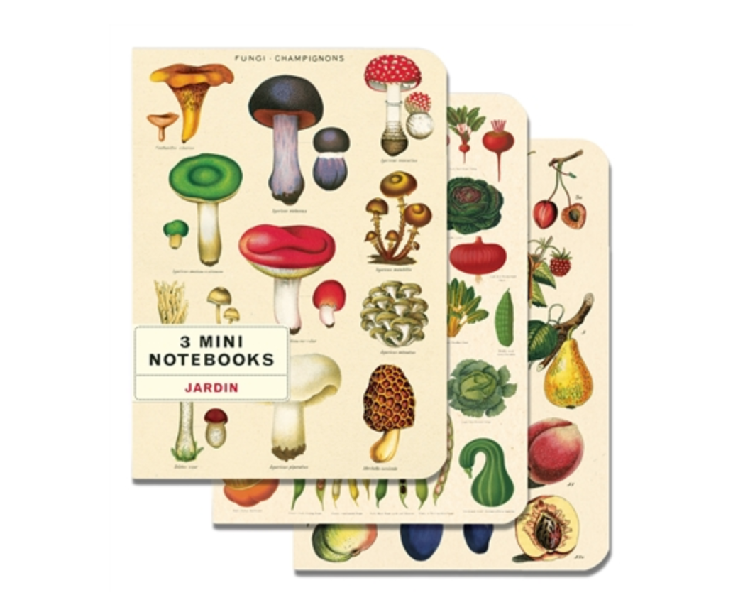 Vegetable Garden Mini Notebooks