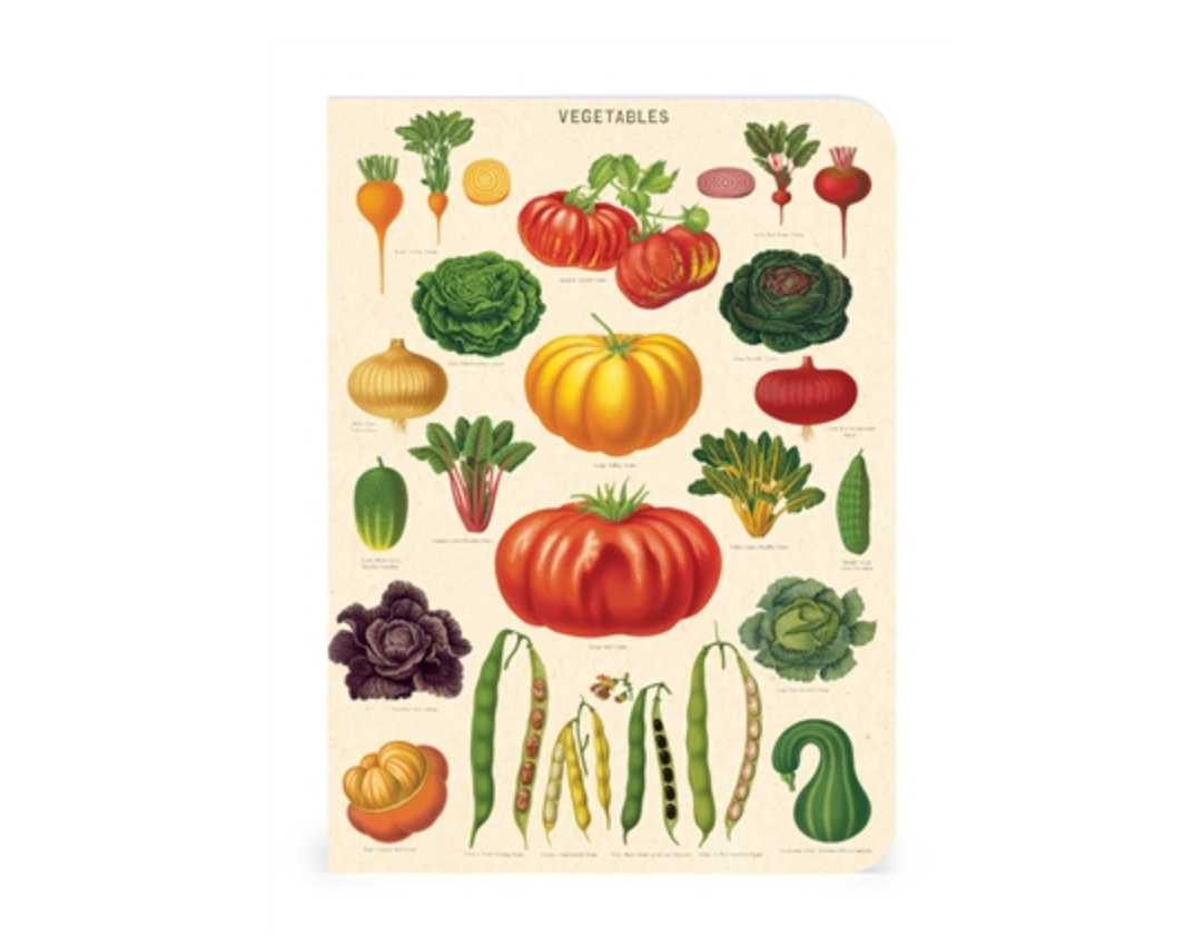 Vegetable Garden Mini Notebooks