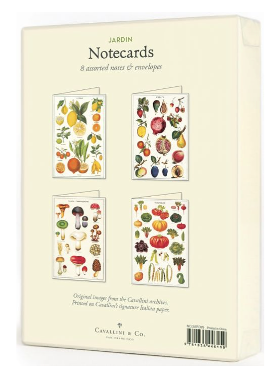 Citrus Boxed Notecards