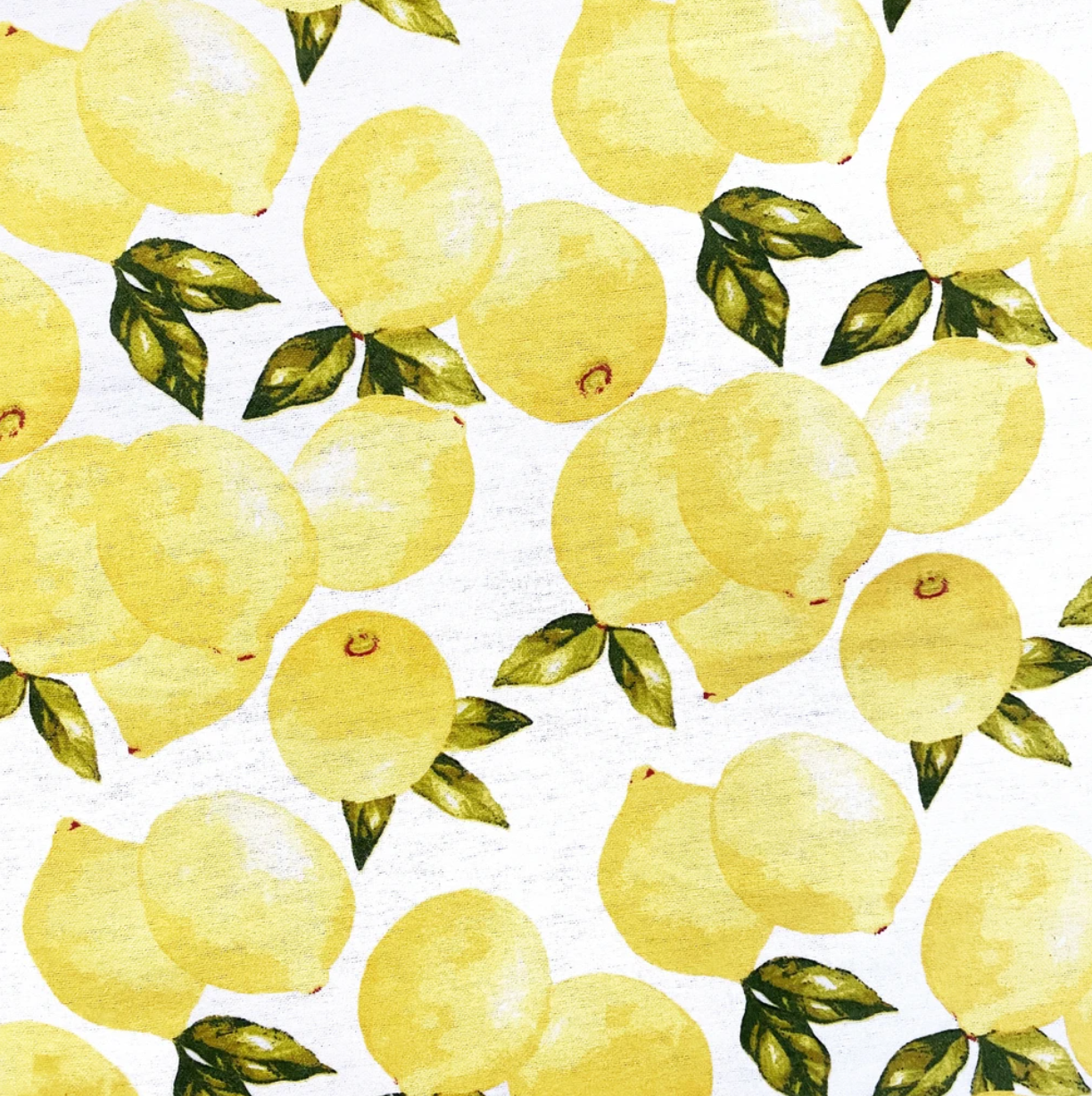 Cloth Paper Towel Set of 6: Lemon Pattern